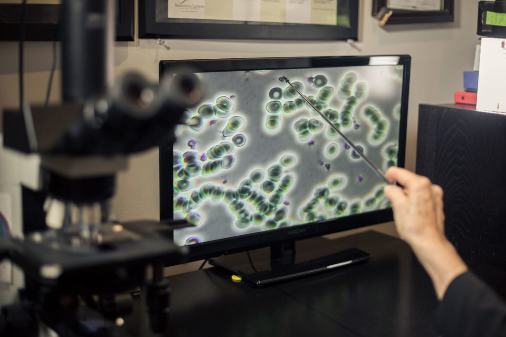 Live and Dry blood analysis is a useful tool to assess a patient's nutritional and cellular health.