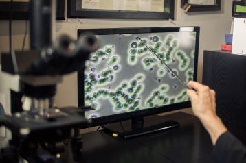 LiveBloodandAnalysis
